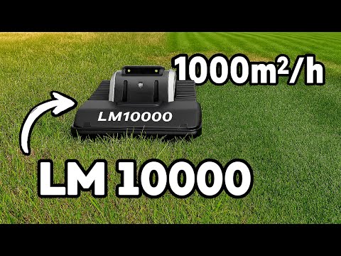 LM10000